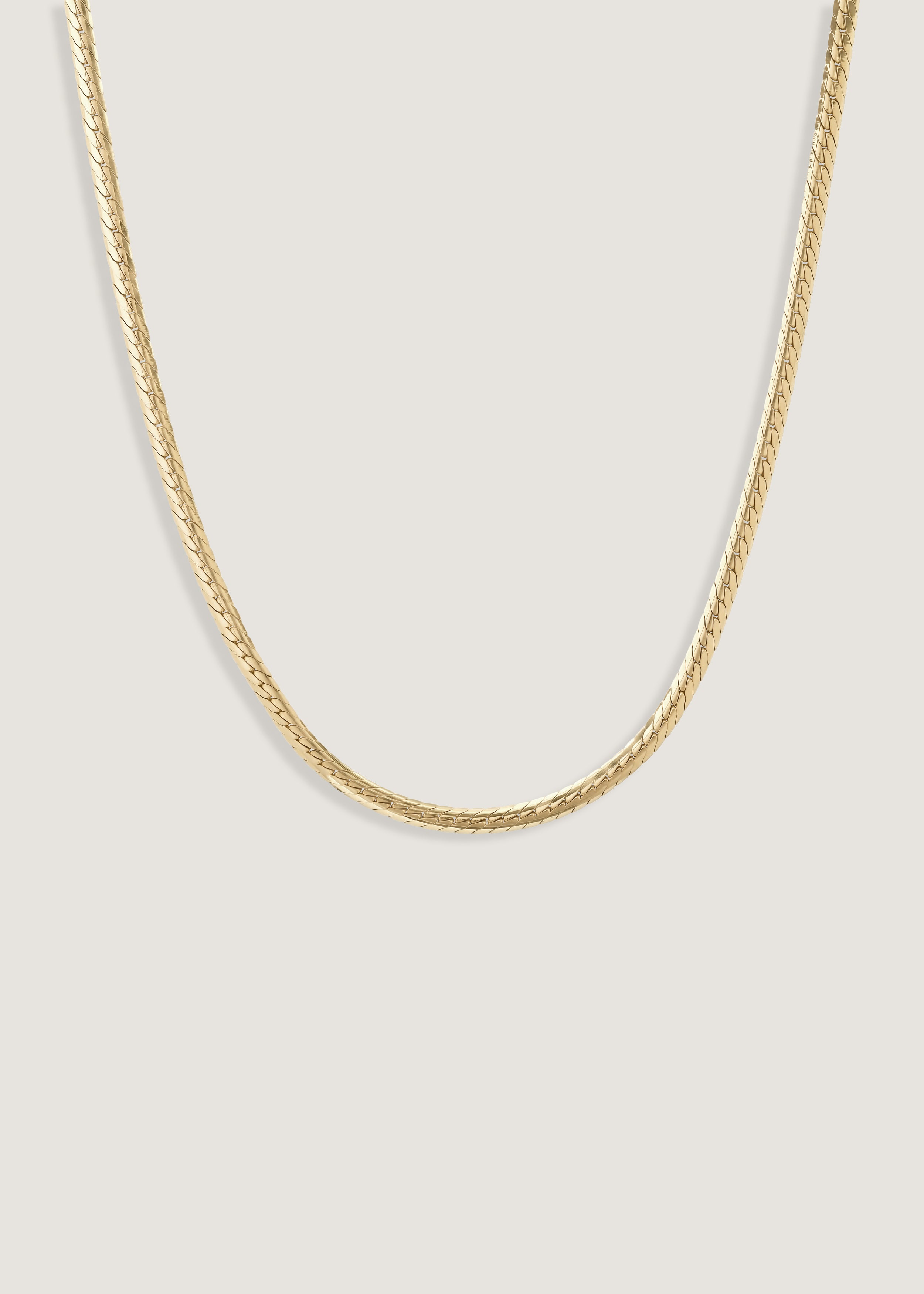 Petite Kennedy Herringbone Chain Necklace