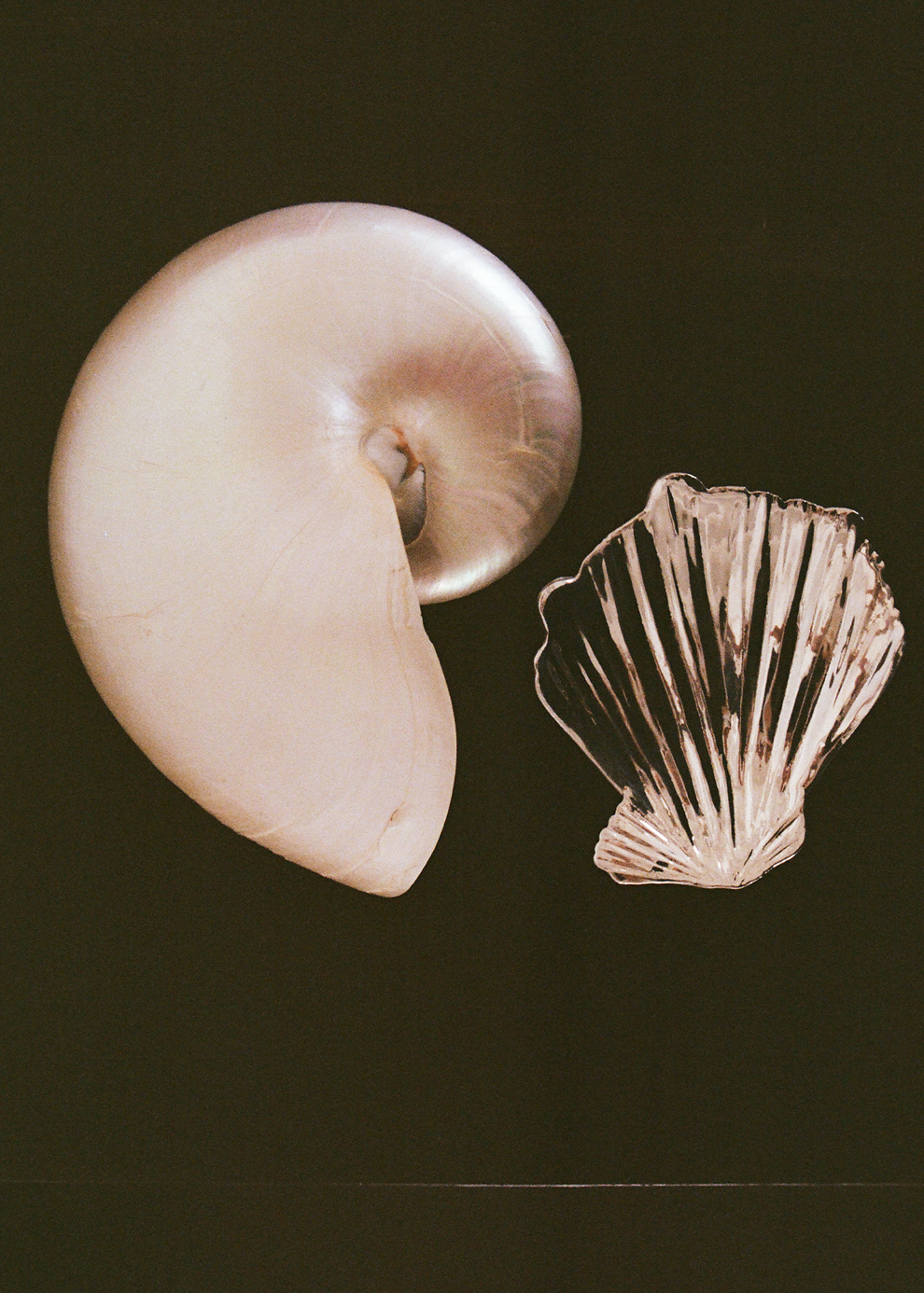 Of the Sea