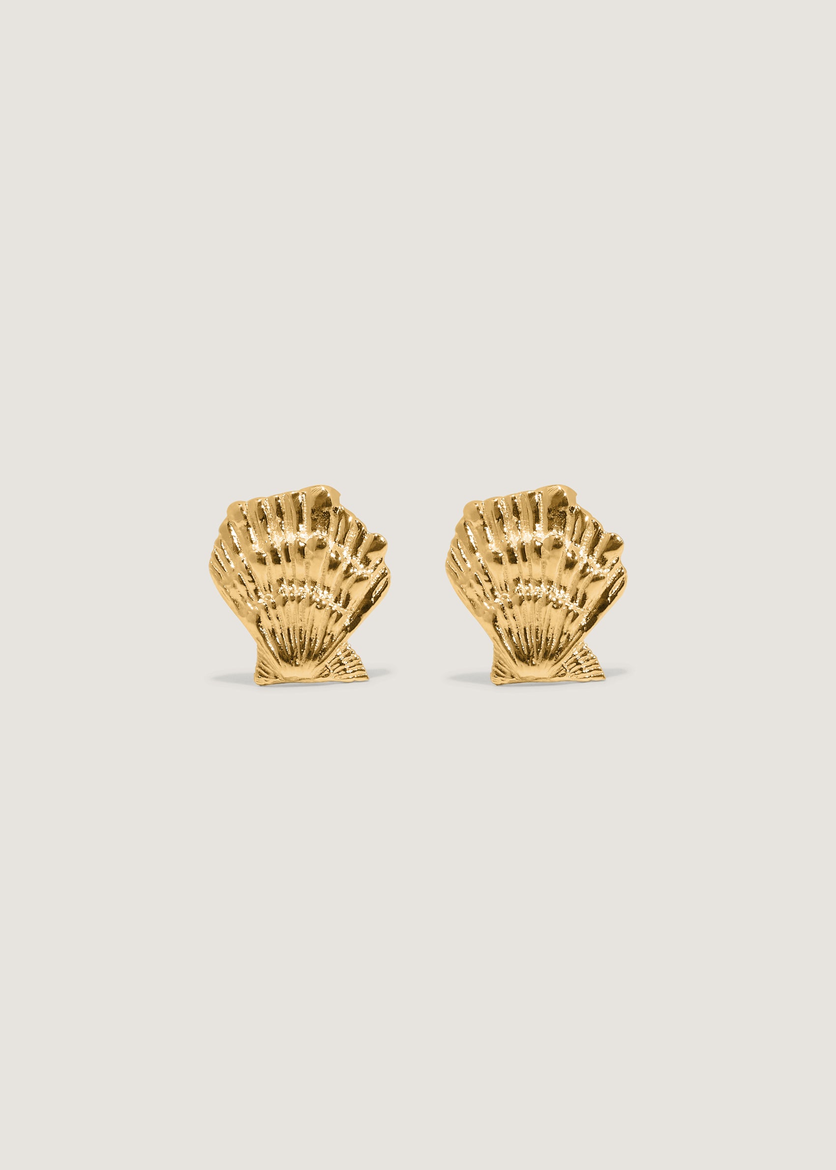 Shell Stud Earrings Gold
