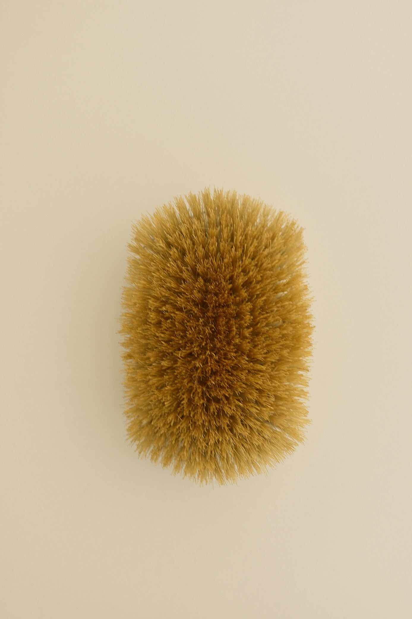 Sterling Brush