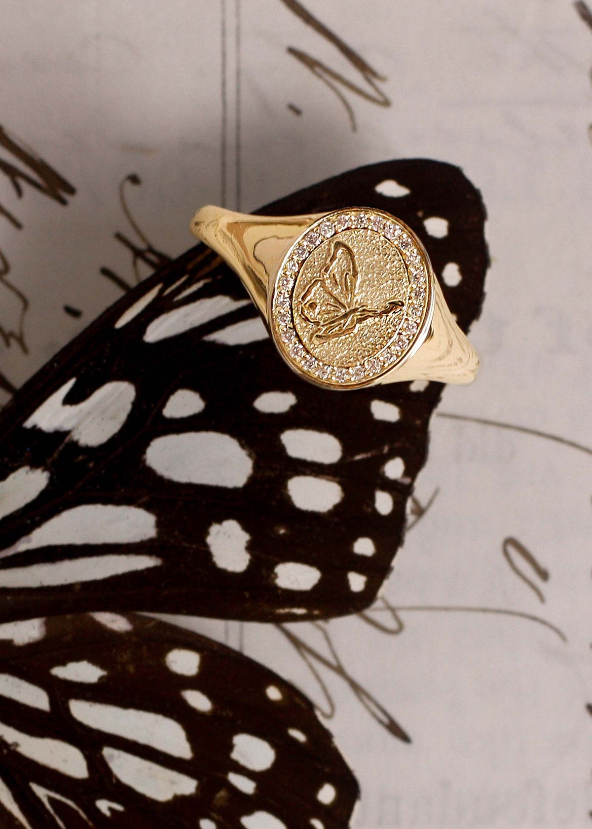 A Kinn 14k Gold Butterfly Dream Diamond Signet Ring laying upright against a print of a butterfly