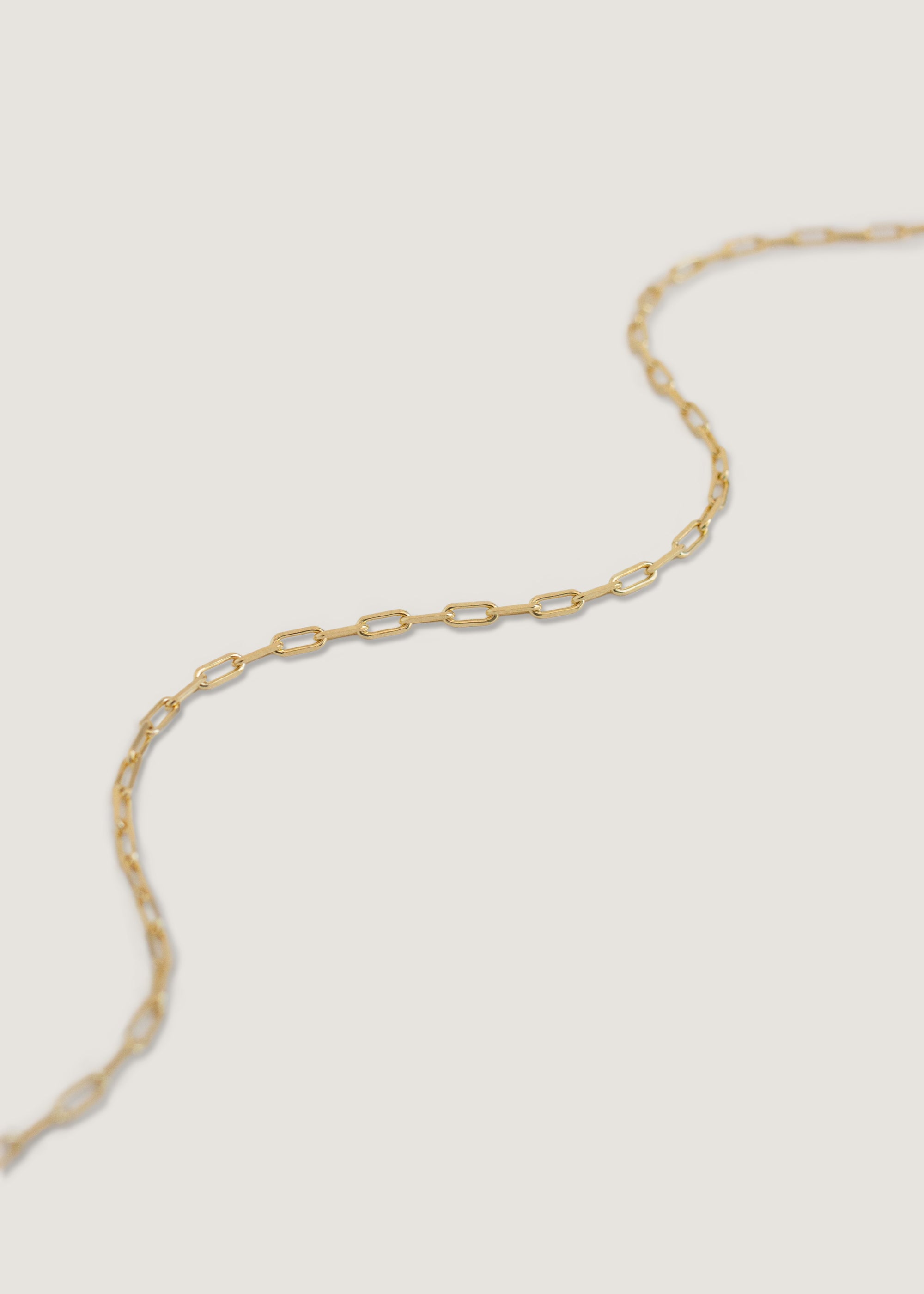alt="Micro Link Chain Anklet"