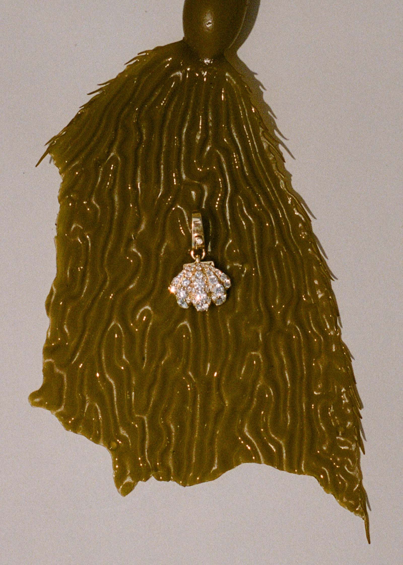Kinn 14k Gold Pavé Diamond Shell Charm laying against a piece of kelp