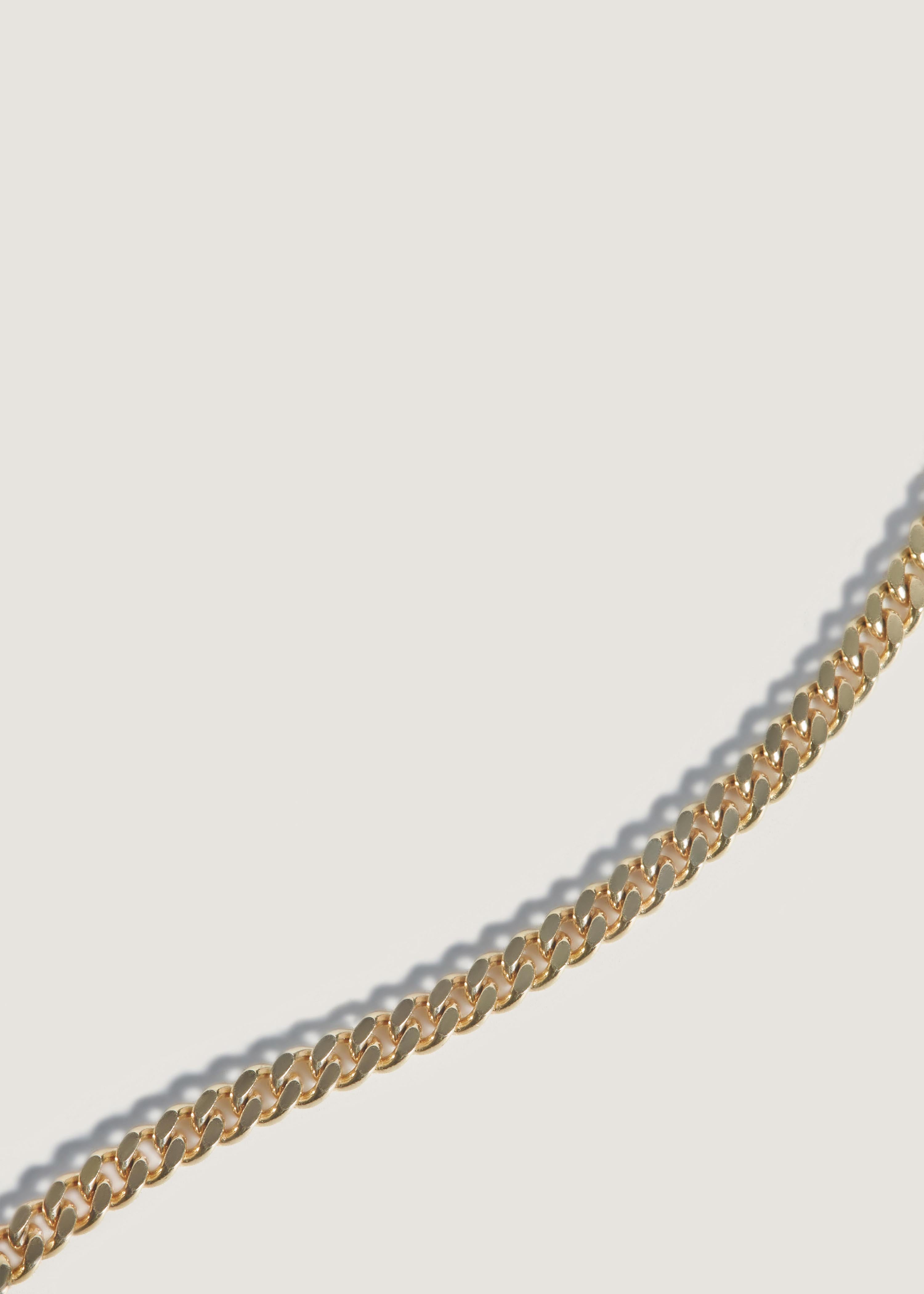 alt="close up Capri Curb Chain Necklace III"