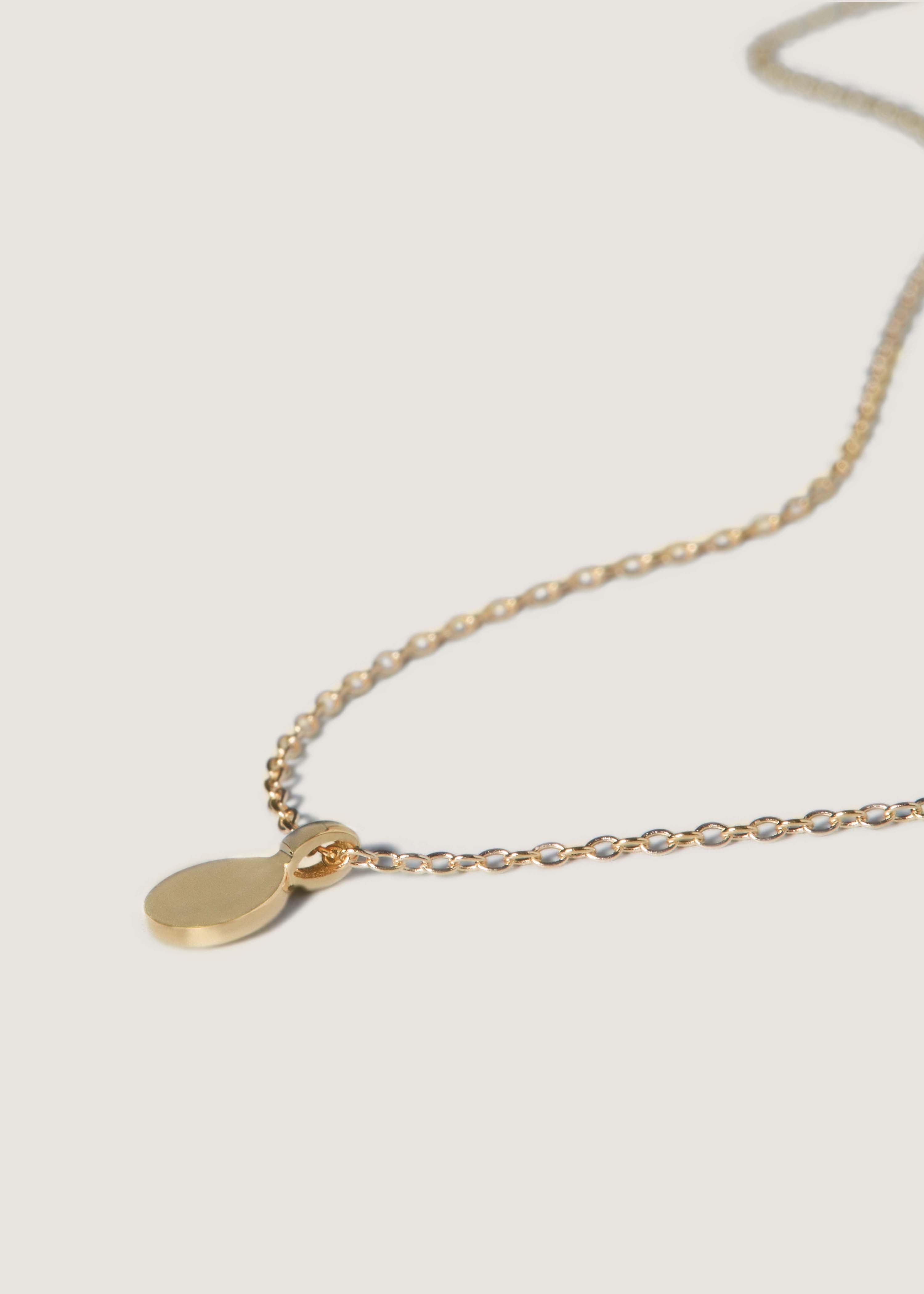 alt="close up of Round Initial Disc Necklace"